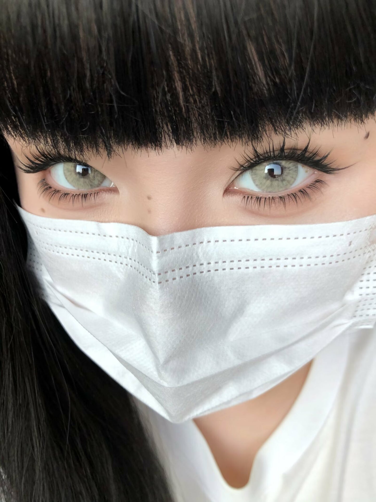 SERLTYCA 小狼女棕 半年拋/日拋1盒6片