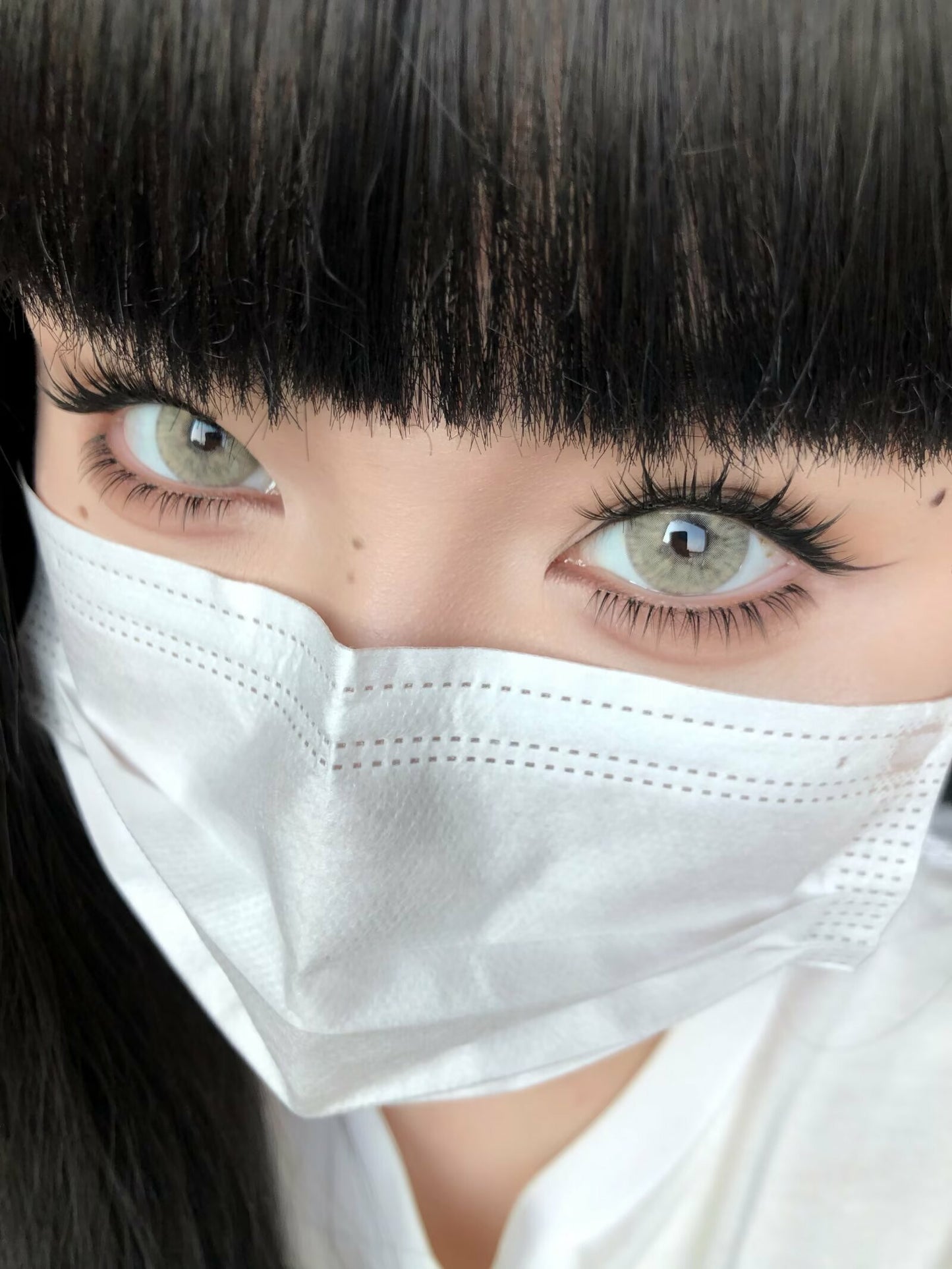 SERLTYCA 小狼女棕 半年拋/日拋1盒6片