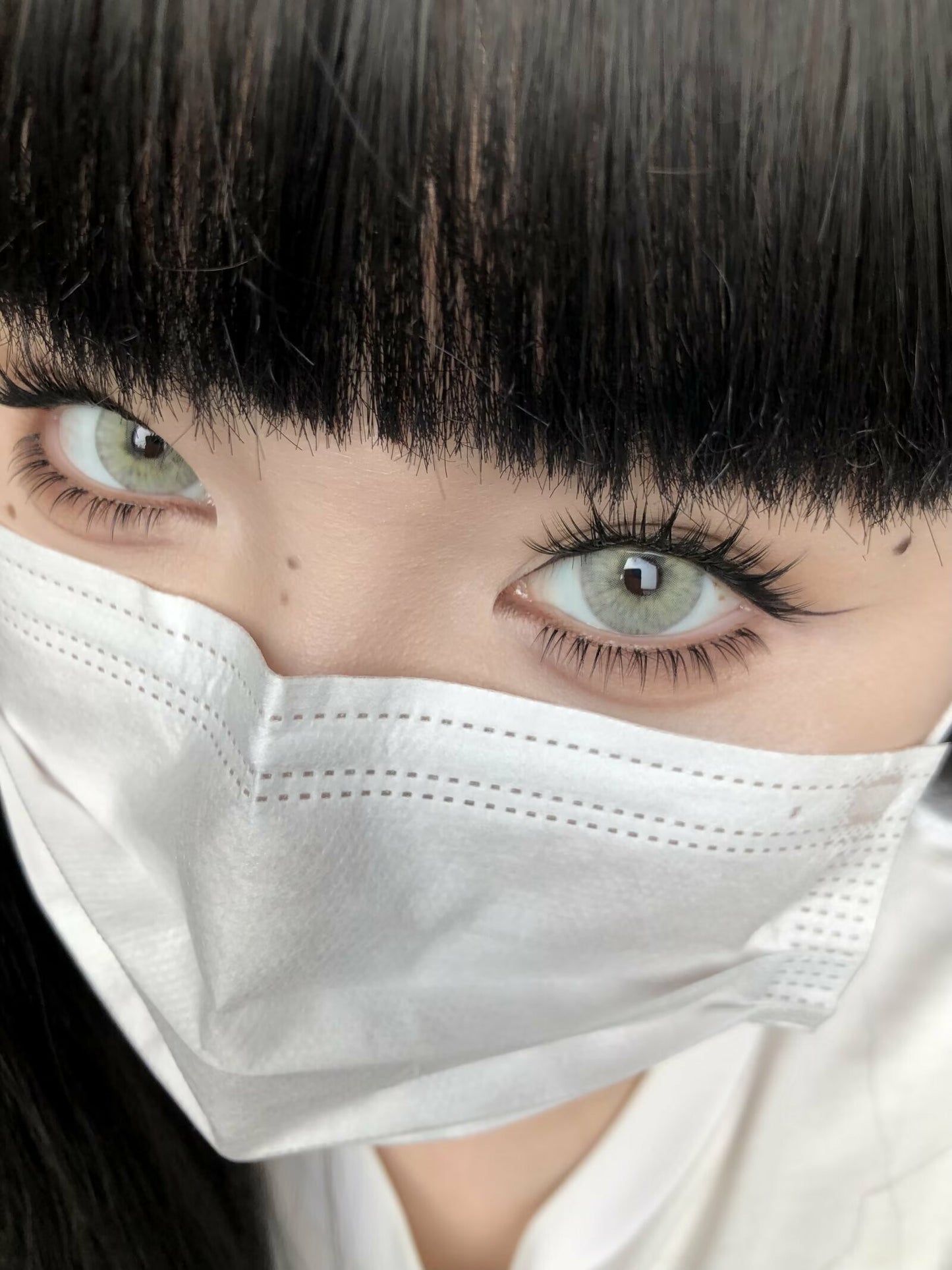 SERLTYCA 小狼女灰 半年拋/日拋1盒6片