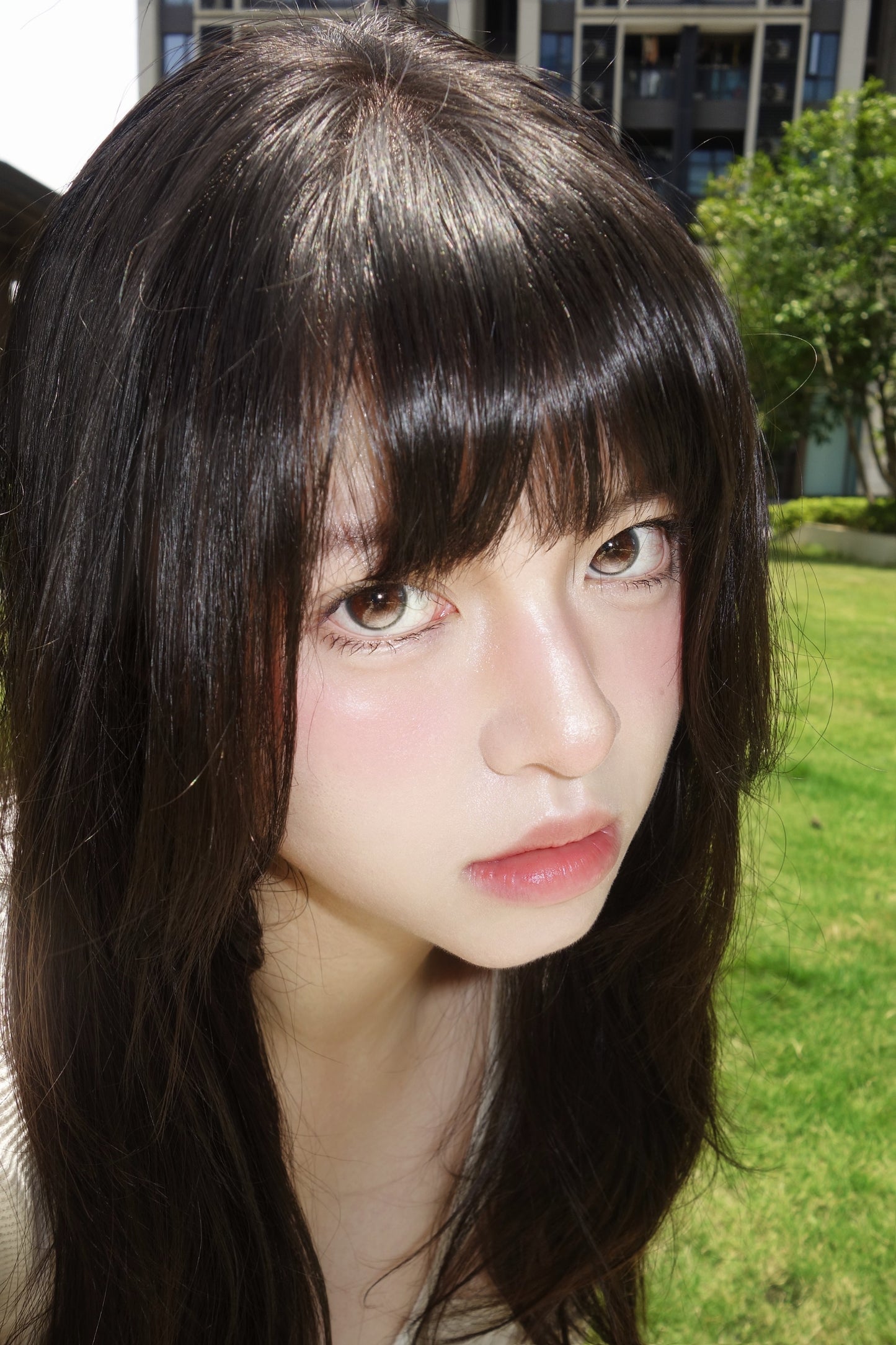 KiraFairy 鎂光燈 日拋 1盒10片 定軸高光