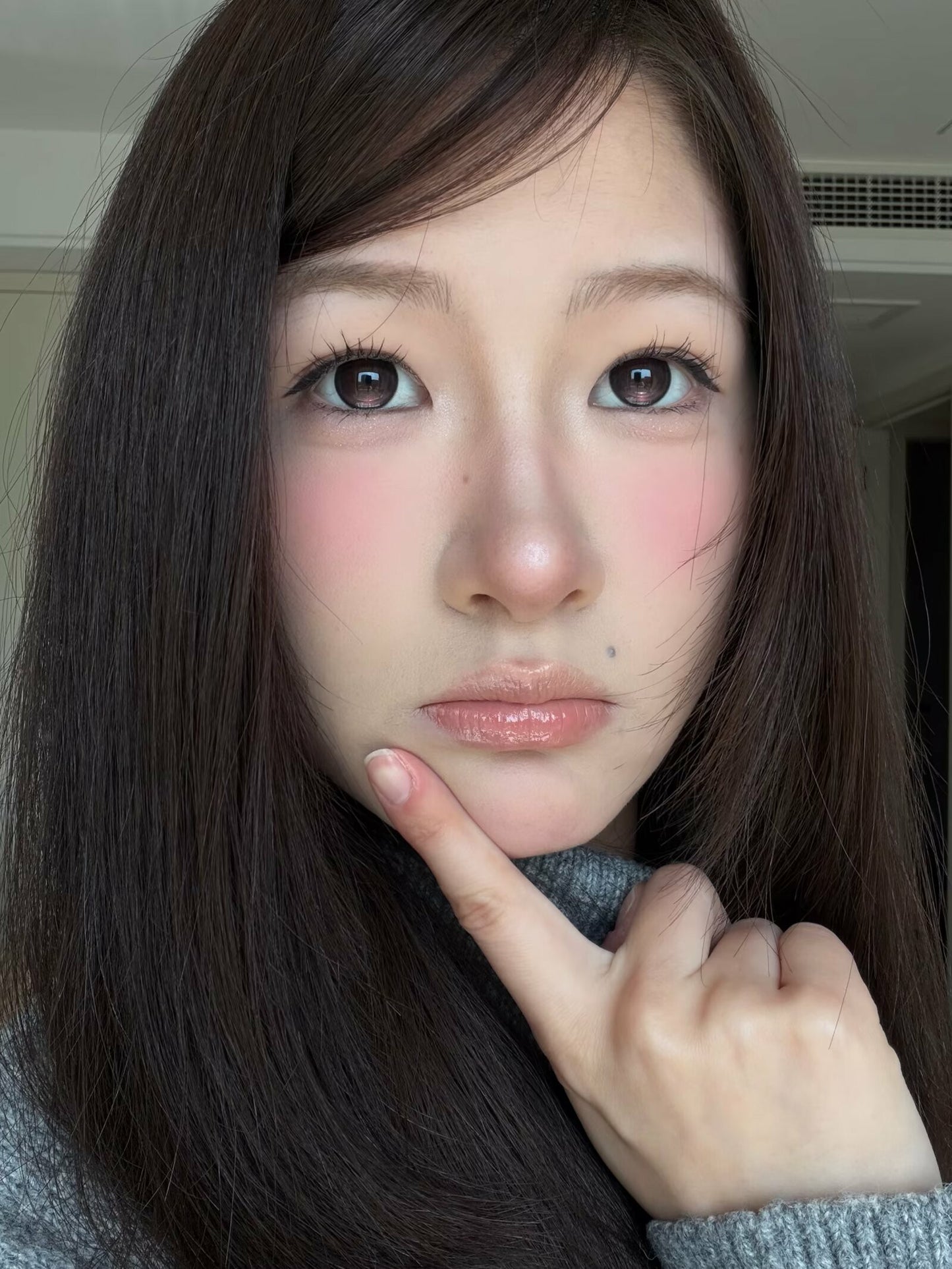 Gugucon 定軸高光 人氣加冕 日拋10片/1盒