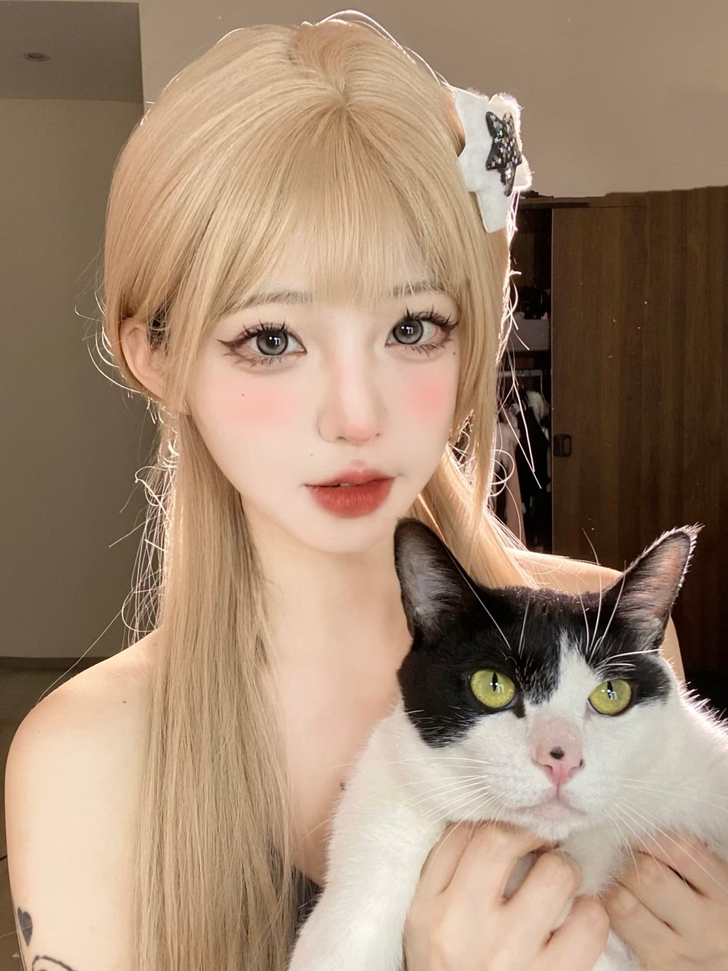 Focusmoon 隕石邊牧 日拋10片/1盒