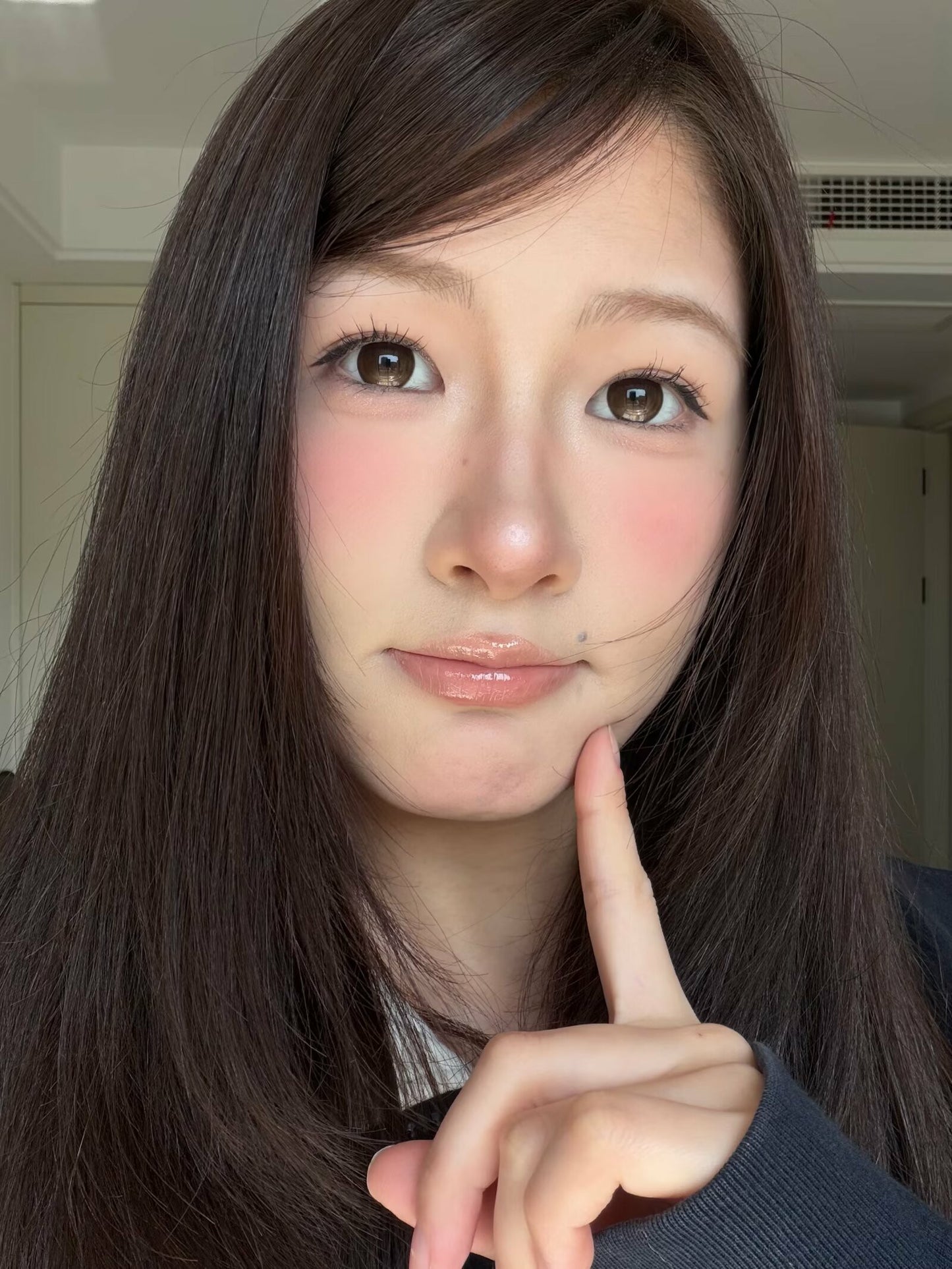 Gugucon 定軸高光 薪滿億足 日拋10片/1盒