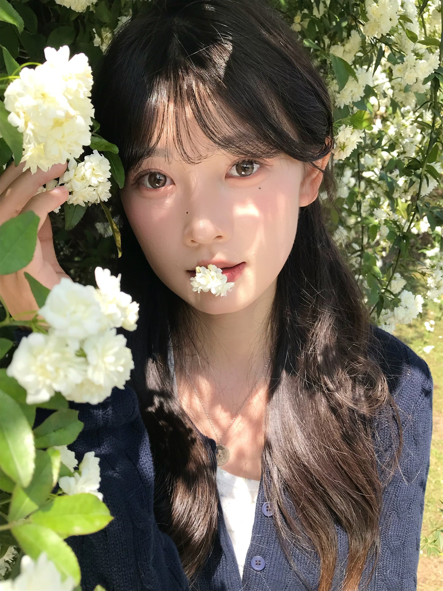 KiraFairy 曼谷色 日拋10片/盒 ONEDAY CON