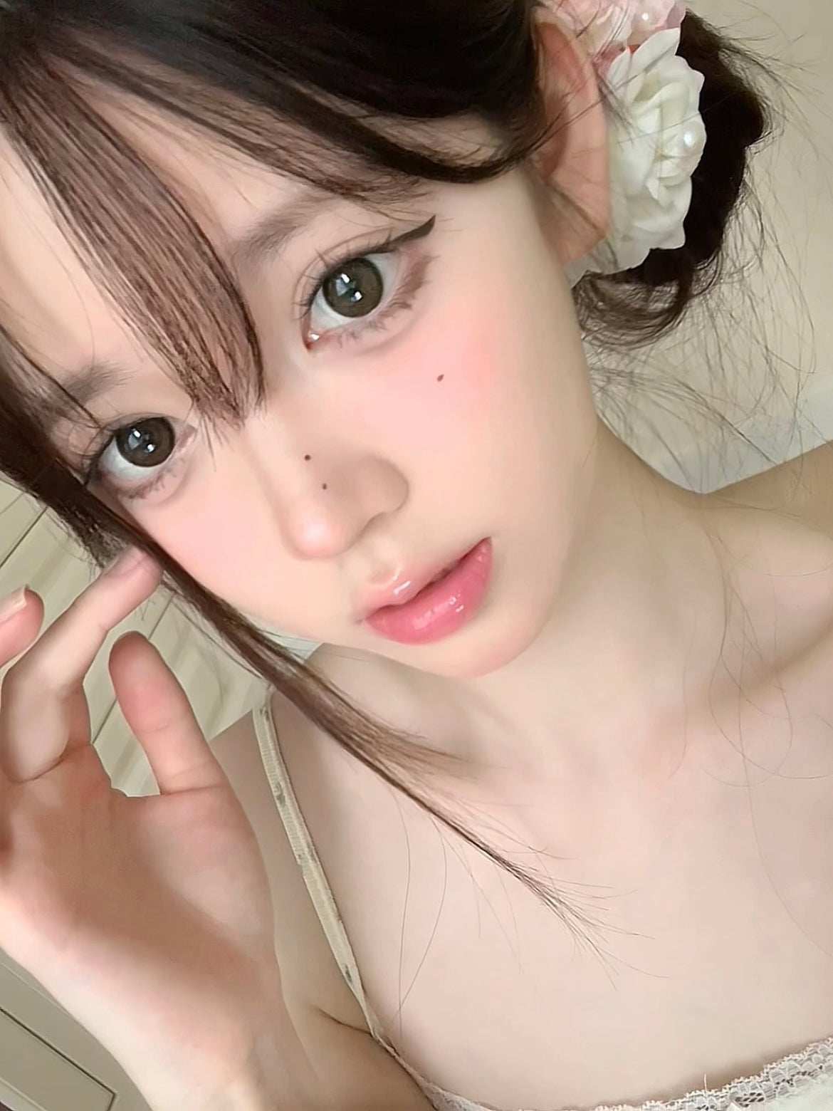 Gugucon 遇見神鹿 日拋10片/1盒