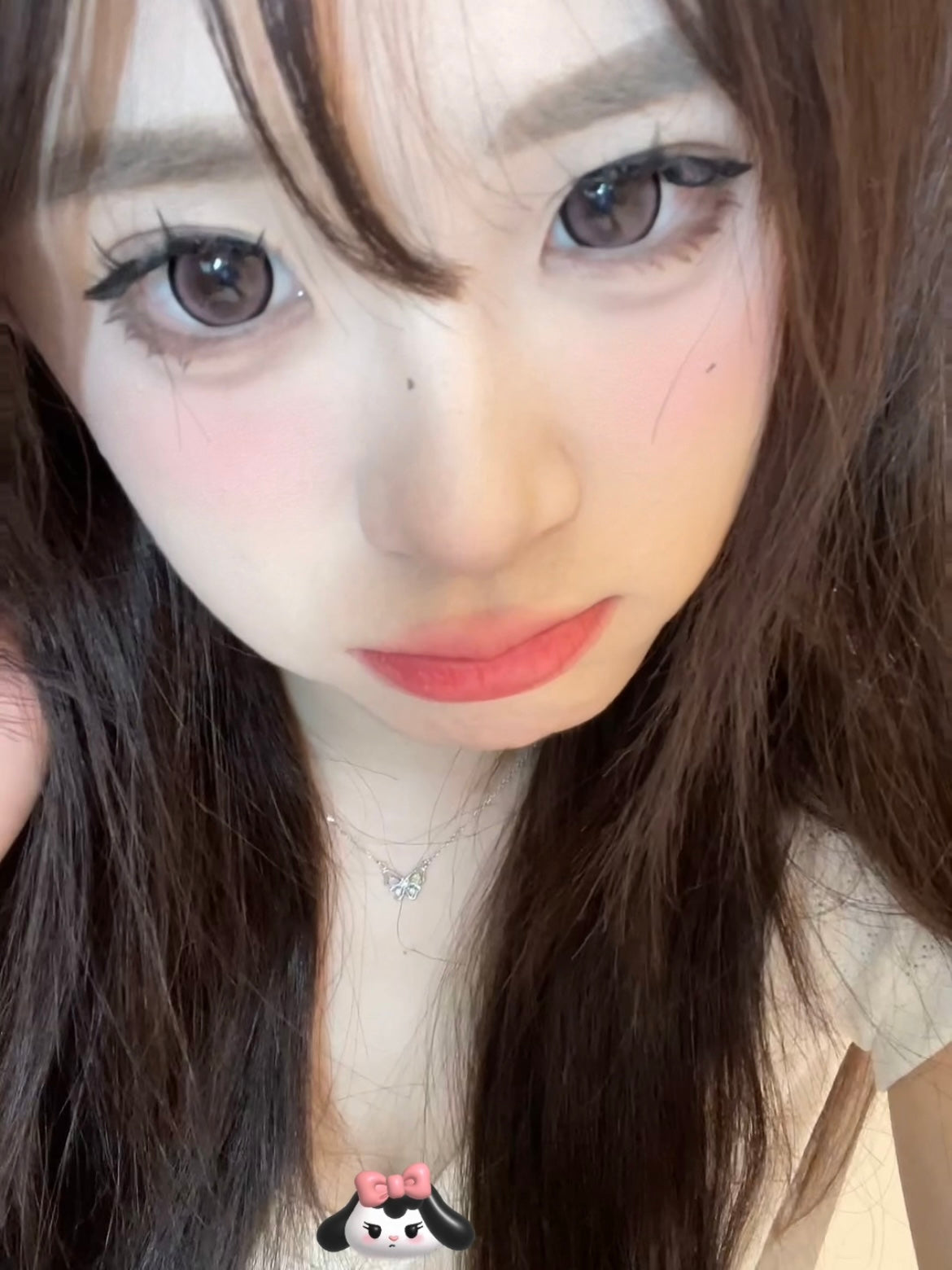 Gugucon 浪漫生長 日拋10片/1盒