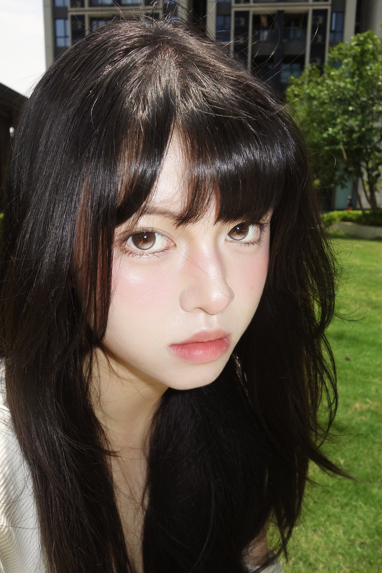 KiraFairy 鎂光燈 日拋 1盒10片 定軸高光