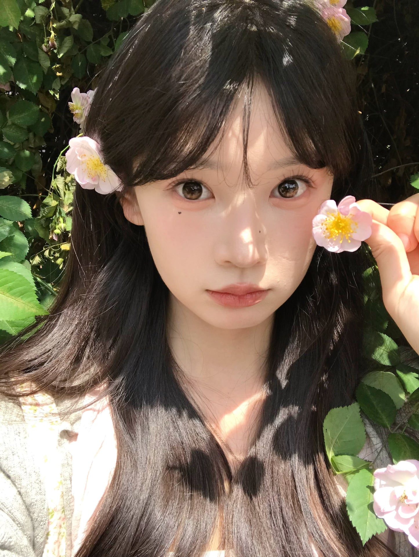 KiraFairy 琥珀立正 日拋10片/盒 ONEDAY CON(定軸高光)