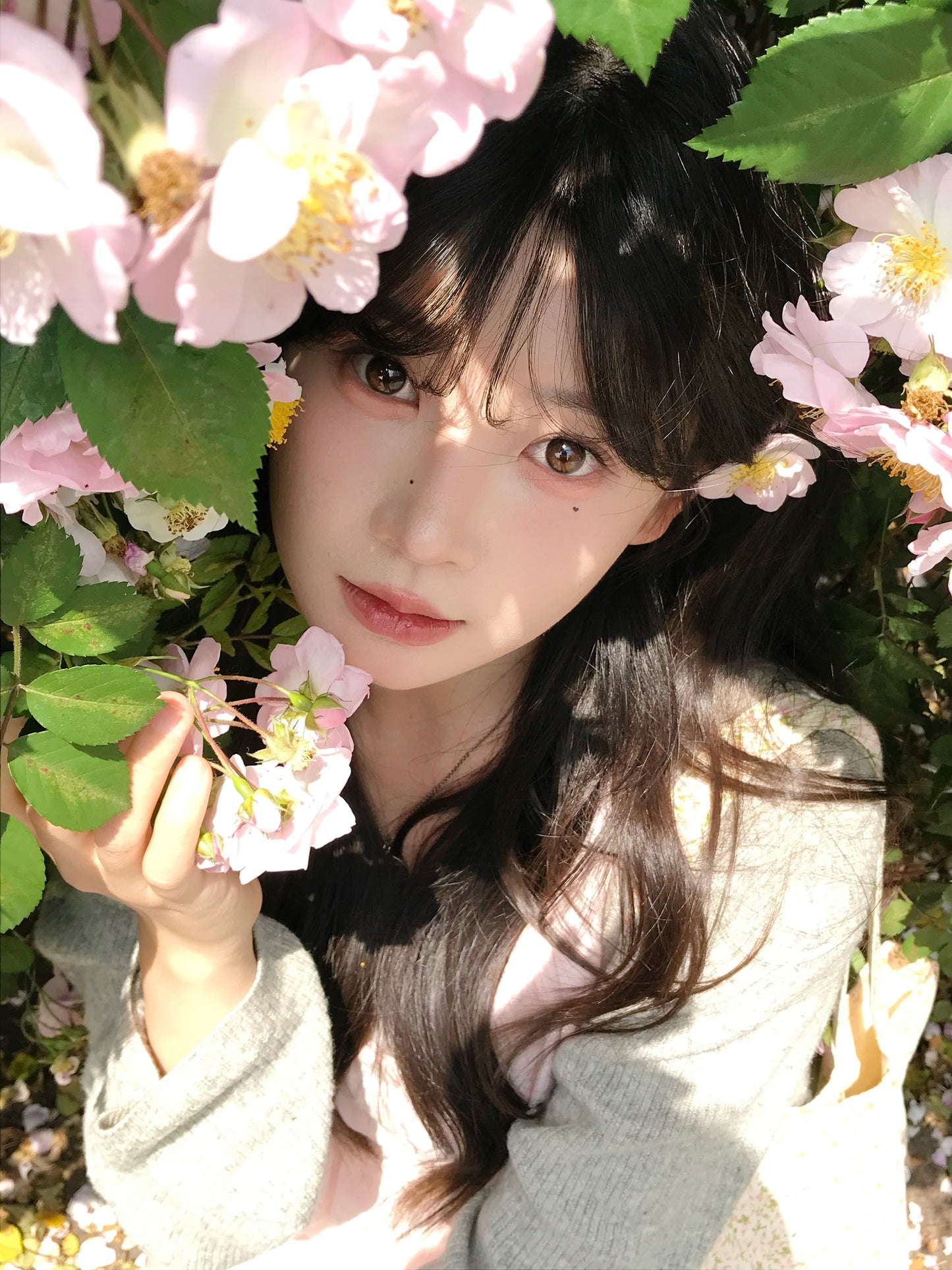 KiraFairy 琥珀立正 日拋10片/盒 ONEDAY CON(定軸高光)