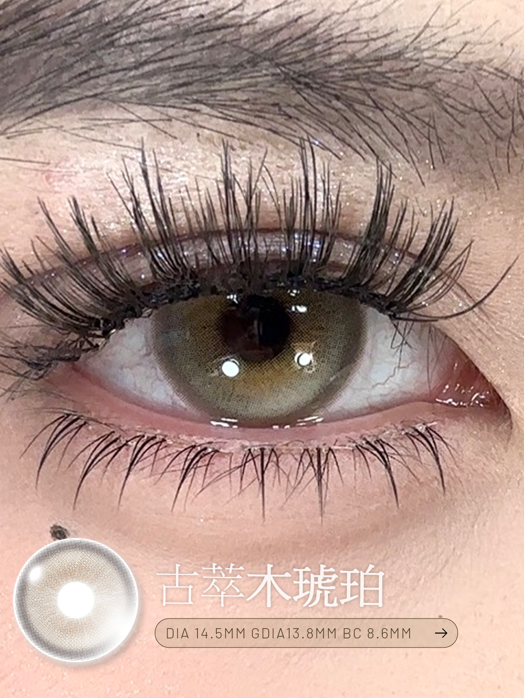 KiraFairy 古萃木琥珀 日拋 1盒10片