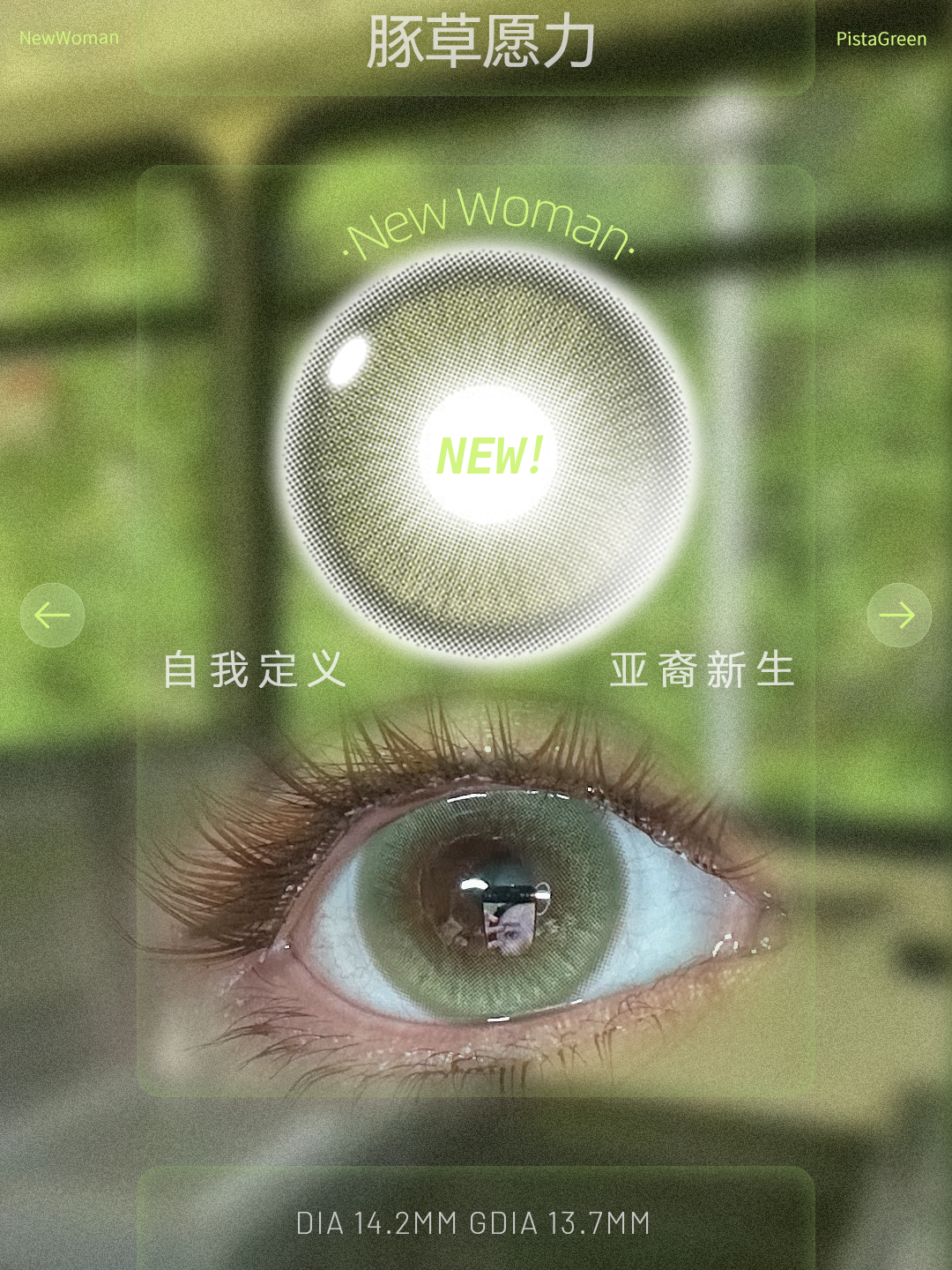KiraFairy 豚草願力 日拋 1盒10片