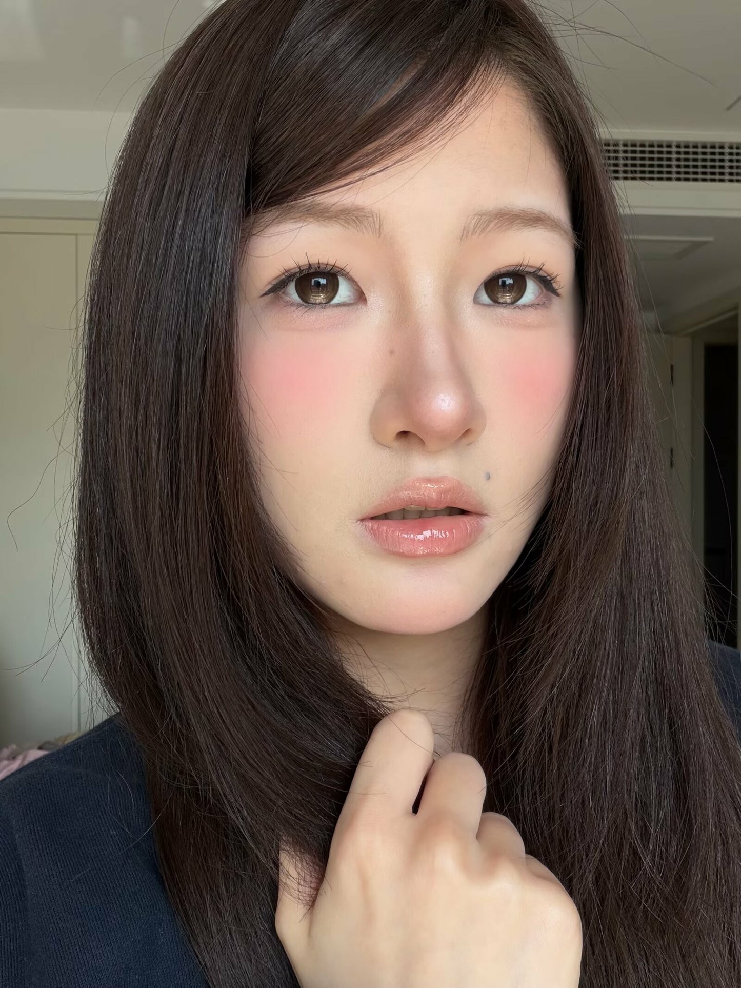 Gugucon 定軸高光 薪滿億足 日拋10片/1盒