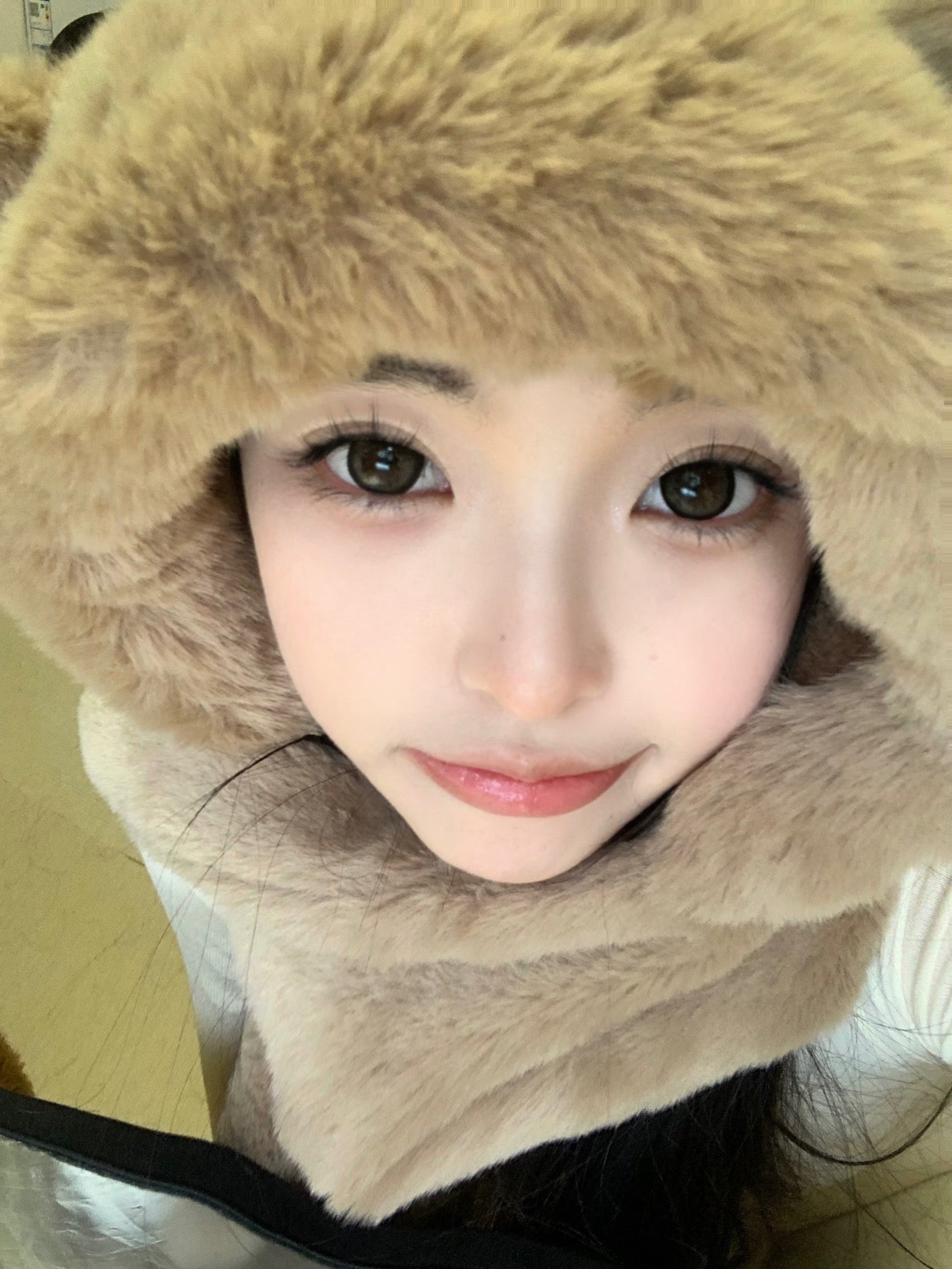 DORAGINA 可可杏仁 日拋10片/1盒