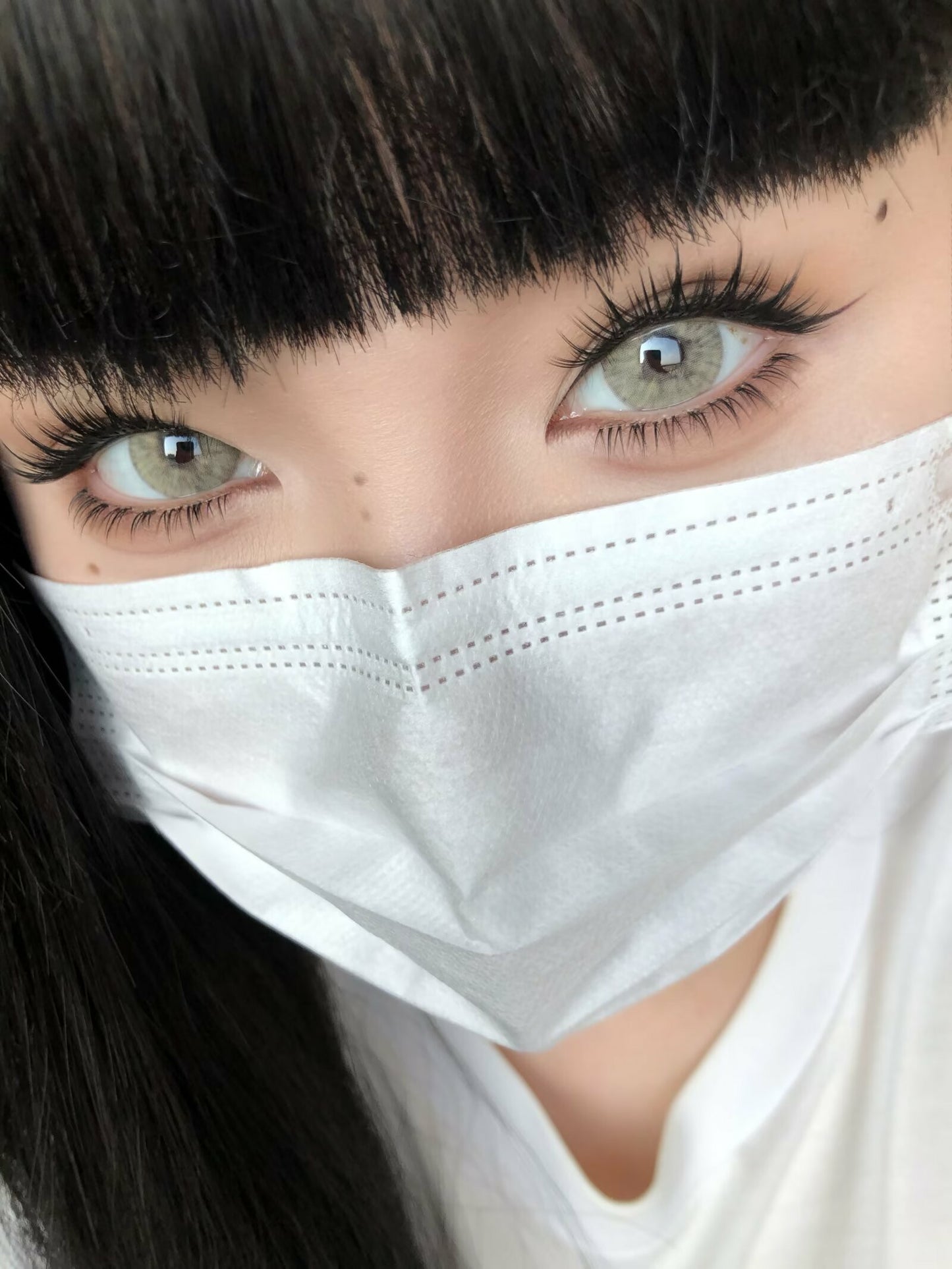 SERLTYCA 小狼女棕 半年拋/日拋1盒6片