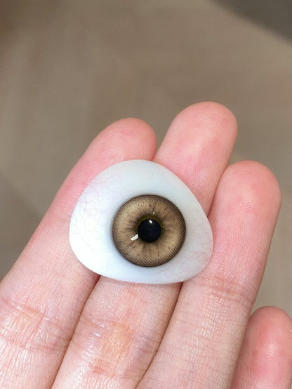 CHONOS 古羅馬 日拋10片/1盒