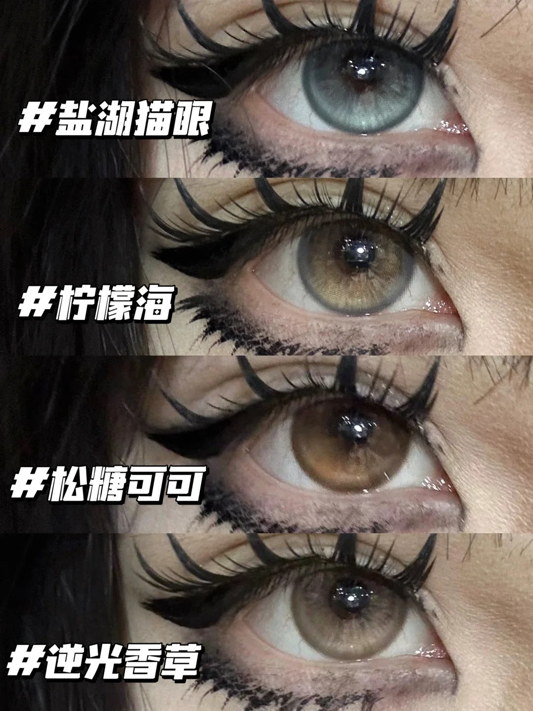 BOLLYCON 鹽湖貓眼 半年拋/日拋10片1盒