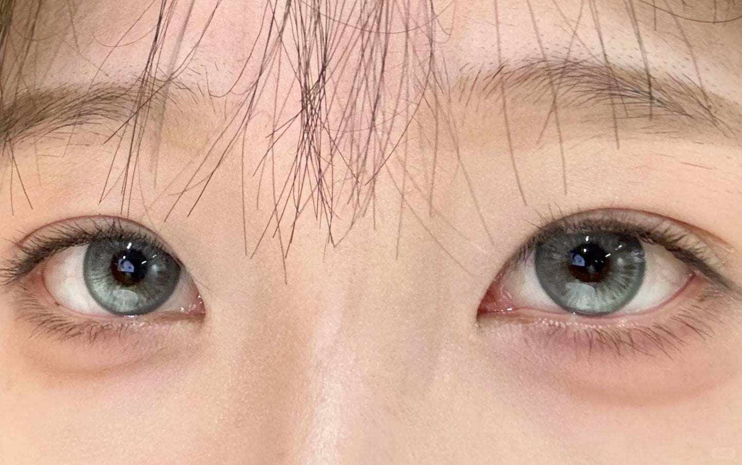 BOLLYCON 鹽湖貓眼 半年拋/日拋10片1盒