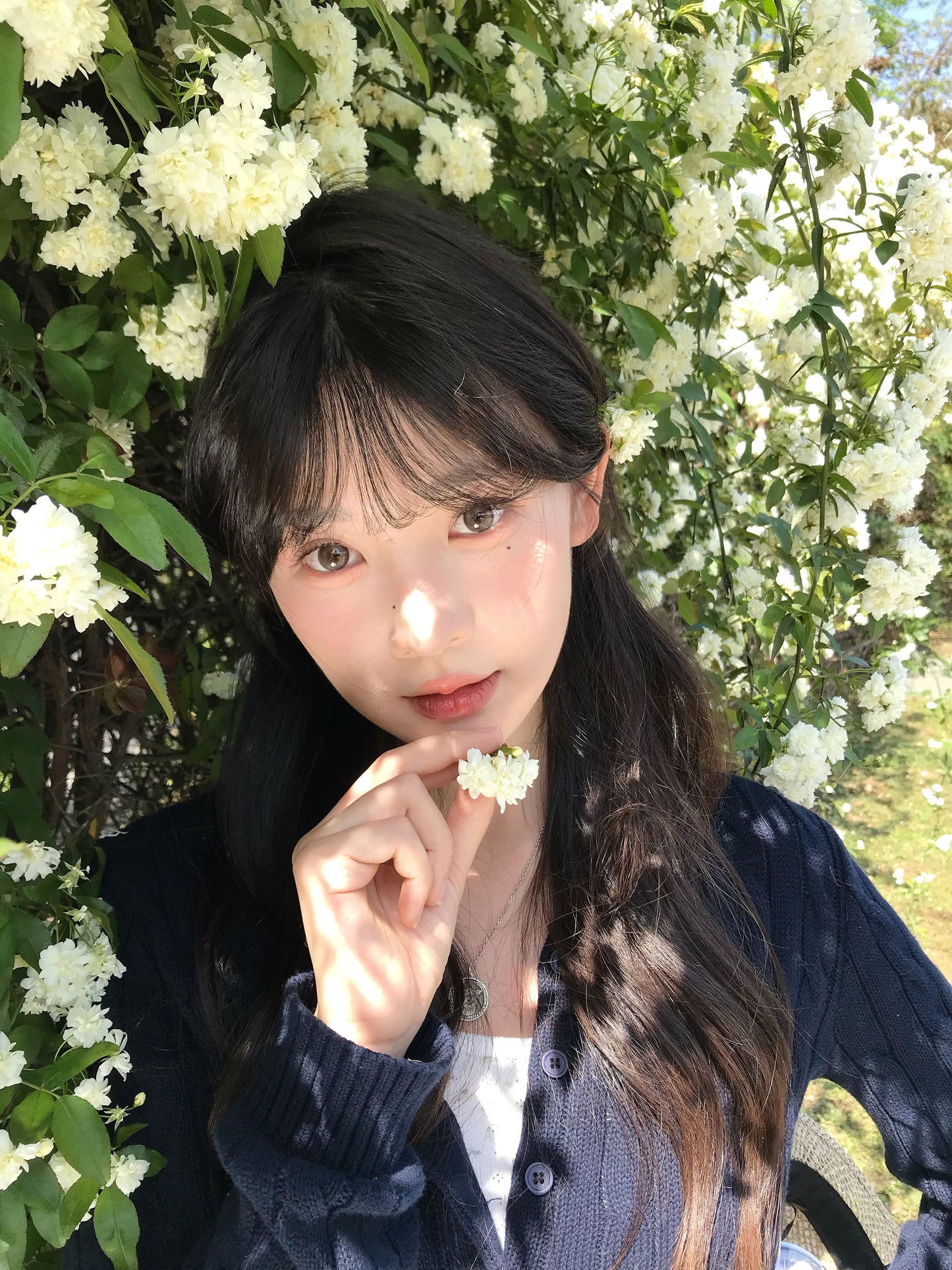 KiraFairy 曼谷色 日拋10片/盒 ONEDAY CON