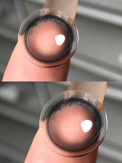 Sondercon 小黑茶 日抛10片/1盒
