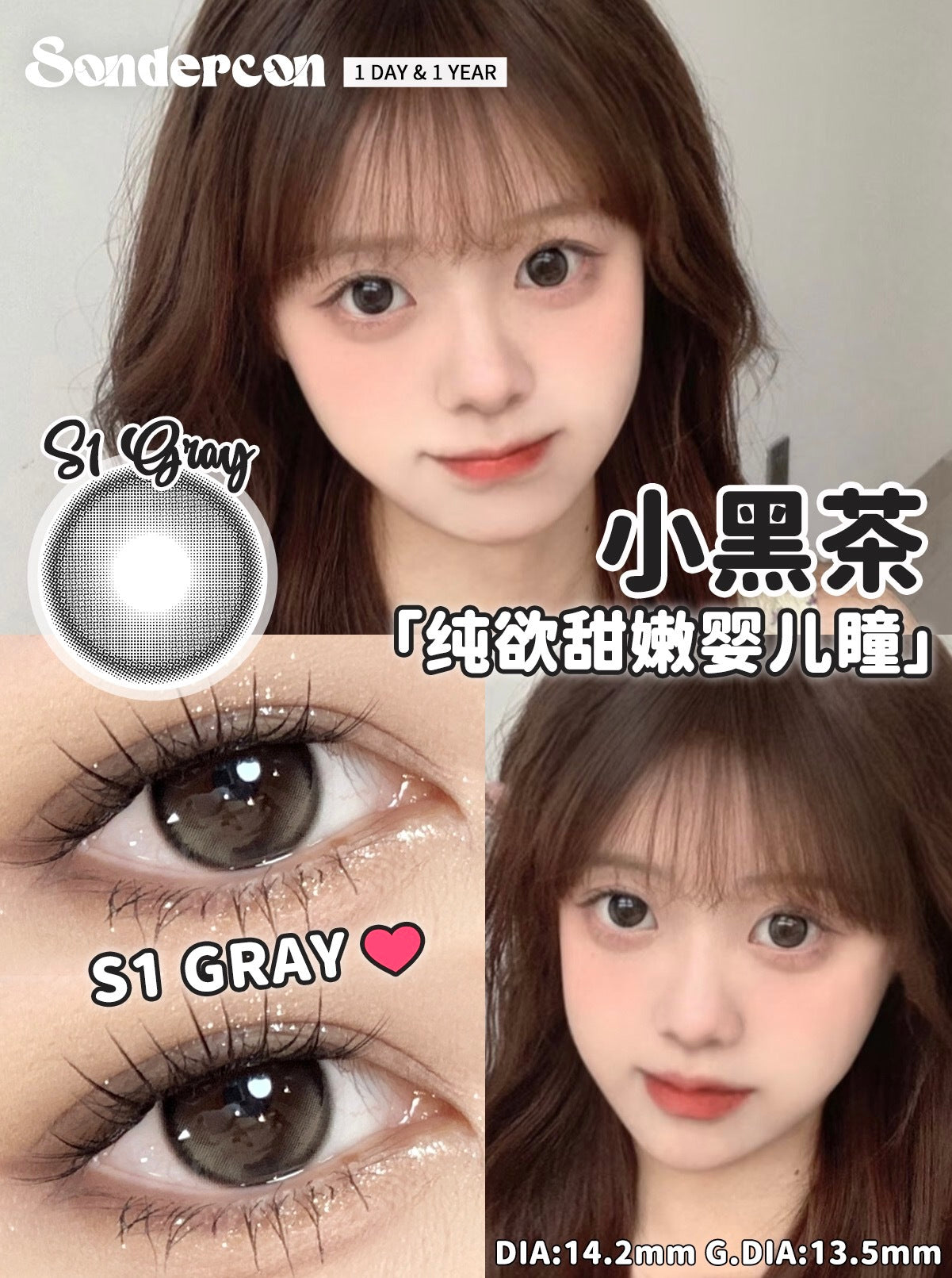 Sondercon 小黑茶 日抛10片/1盒
