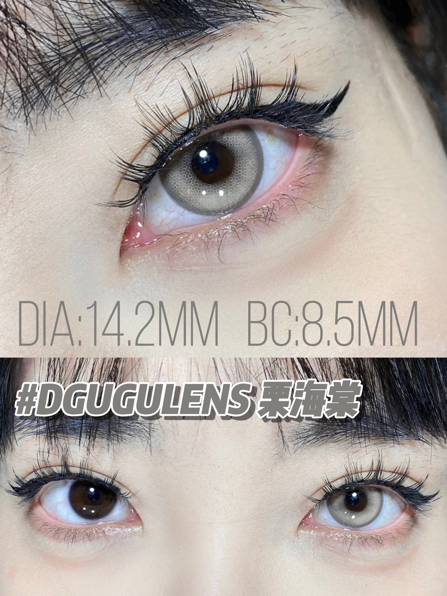 DGuGulens 栗海棠 Cos日拋 10片/1盒