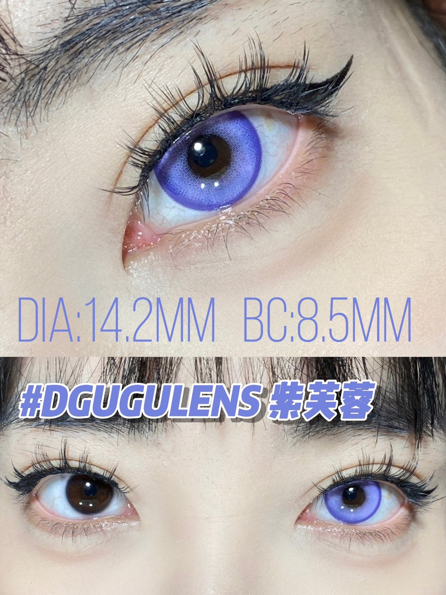 DGuGulens 紫芙蓉 Cos日拋 10片/1盒