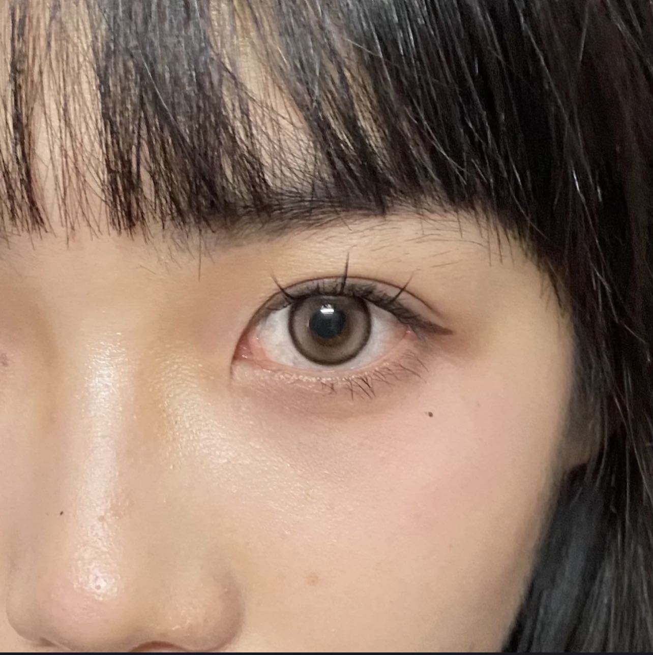 BarieCat 小奶球 日拋10片/1盒